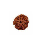 5 Mukhi Rudraksha Benefits