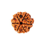 6 Mukhi Rudraksha Benefits