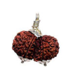 Gauri Shankar Rudraksha Benefits